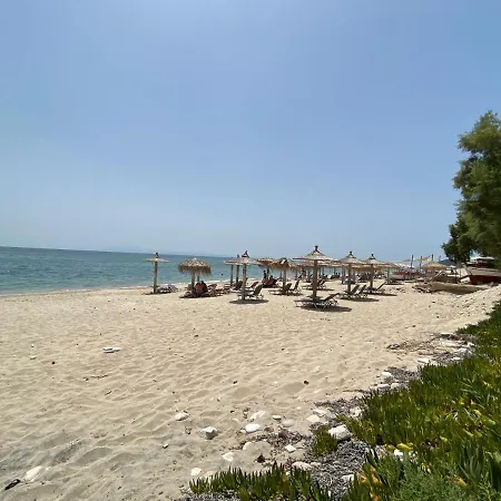 Apartment Kiparisiou Limenaria (Thasos)